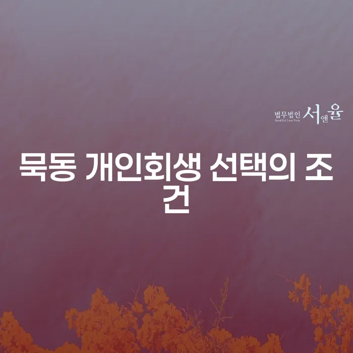 묵동 개인회생 선택의 조건